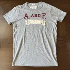 Abercrombie & Fitch グレー Tシャツ Lサイズ　古着