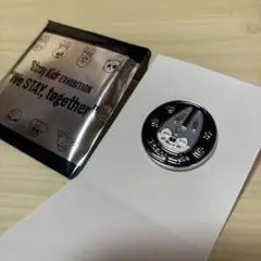 SKZ スキズ　展示会 skzooピンバッジ ウルフチャン