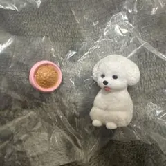 ビションフリーゼ カプセルトイ