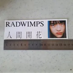2026年最新】radwimps レアの人気アイテム - メルカリ