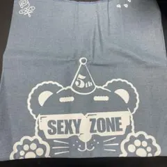 【確認用】SexyZone PAGESグッズ ツアーバッグ+α 2025年最新】sexyzoneツアーバッグの人気アイテム - メルカリ