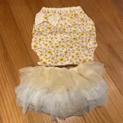 Item thumbnail for item b8551b08-dc83-49df-bc7d-7a1f02f96506