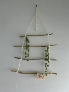 Item thumbnail for item 3ad1e1ed-b195-4c30-9afd-685950b682e6