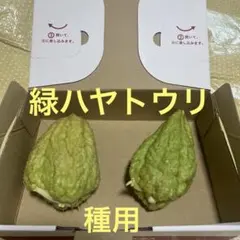 2026年最新】ハヤトウリの人気アイテム - メルカリ