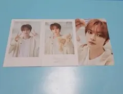 2025年最新】シーグリ リノの人気アイテム - メルカリ