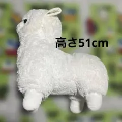 2025年最新】アルパカッソの人気アイテム - メルカリ