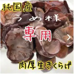 【うめ様専用】採れたて農家直送⭐️特選生きくらげ1キロ⭐️