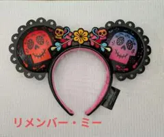 新品未使用/日本未発売/タグ付】リメンバーミー ディズニー