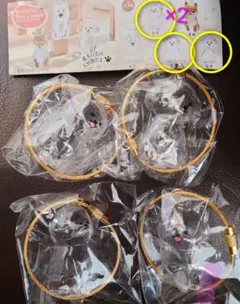 わんこのタイムカプセル　ラテ×2　むぎ　モカ　4点セット