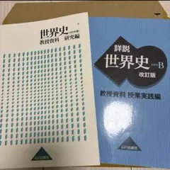 2026年最新】教授資料 世界史 実践編の人気アイテム - メルカリ