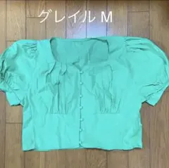 Item thumbnail for item 66ea221d-0c06-468b-b3e4-69f10f419d36