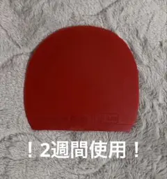 卓球ラバーディグニクス09c赤特アツ