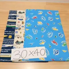 男の子柄☆ランチョンマット30×40♪１枚仕立て・3枚セット