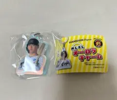 阪神タイガース めじるし オーロラチャーム 前川