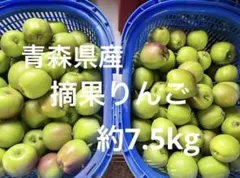 青森県産　摘果りんご　約7.5kg 加工用りんごのサムネイル