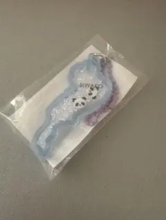 琵琶湖キーホルダー　パンダ　水色　草津