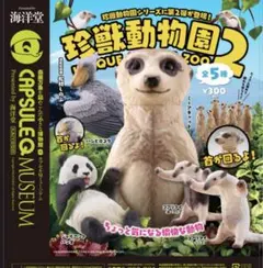 カプセルQミュージアム　珍獣動物園2 Ⅷ コンプ