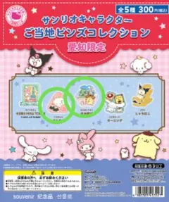 サンリオ ご当地ピンズコレクション 愛知限定 2種セット
