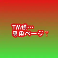 TM様…専用