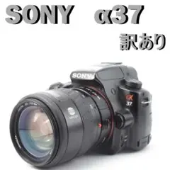 SONY α37 レンズ付 動作品 フラッシュ不良 レンズ小カビありのサムネイル