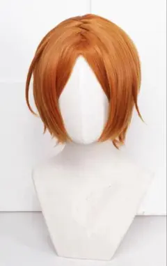 あんさんぶるスターズ!! あんスタ 葵ゆうた 葵ひなた ウィッグ