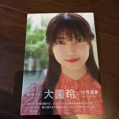 大園玲 1st写真集 半分光、半分影　限定カバー