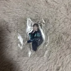 &TEAM ウィジュ popup めじるしアクリルチャーム カプセルトイ
