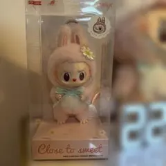 ち*わ様 美品POPMART LABUBU MOKOKO第1代Close to