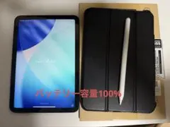 【バッテリー容量100%】iPad mini 第6世代 64GB スペースグレイ