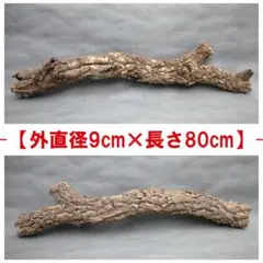 B114 ポルトガル産 キャノンコルク コルク樹皮 コルク板　バージンコルク B114 ポルトガル産 キャノンコルク コルク樹皮 コルク板 バージン