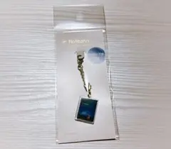 にゃんこ様 リクエスト 2点 まとめ商品