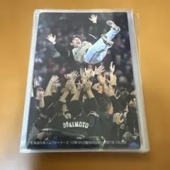 Item thumbnail for item 3d10a388-68a5-4dd5-8ad3-37e7920da8d6