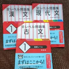 大学入試 全レベル問題集 現代文 　古文　漢文　基礎レベル