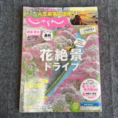 Item thumbnail for item 6db6197a-7e8a-4afa-ad91-1eb821ed9513