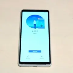 【 SIMロック解除 可 】Xperia 10 II SO-41A docomo