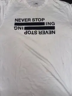 THE NORTH FACE ロンT 白 長袖 シミありXL相当