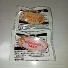 ハイキュー!! サンリオキャラクターズ アクリルバッジ