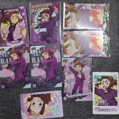 忍たま乱太郎 平滝夜叉丸 カード9枚セット