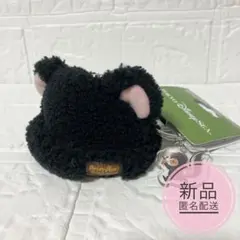 ディズニー　ロストキッズ　キーチェーン　スカンク　ピーターパン　ファンキャップ