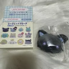 JOCHUM シークレットブローチ ピーハイ