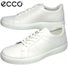 Item thumbnail for item e2caa9d6-51ce-4dd8-a4ed-7af65262794d