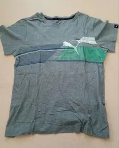 PUMA グレー ストライプ Tシャツ