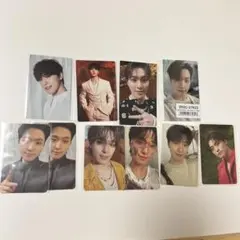 セブチ ディノ トレカ