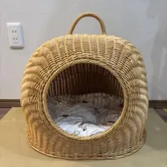 Item thumbnail for item 3d7e269d-993b-490d-be31-586d7bdce001