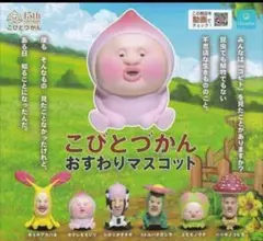 こびとづかん おすわりマスコット 全6種フルコンプ。
