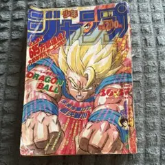 週刊少年ジャンプ 1993年44号 ドラゴンボール表紙 土曜日まで57777
