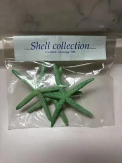 shell Collection 未使用のサムネイル