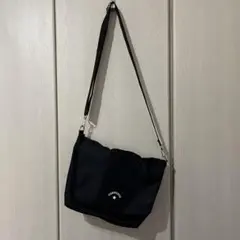 Item thumbnail for item d6746961-1cfa-45a6-8760-6ee40cc5eb07