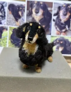 なめこ様確認写真❣️ミニチュアダックスフント 羊毛フェルトオーダー犬