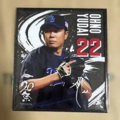 中日ドラゴンズ アクリル色紙 大野雄大